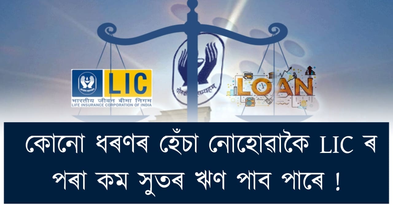 You Can Get Low Interest Loan From lic Without Any Hassle