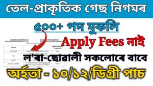 assam job vacancy 2024